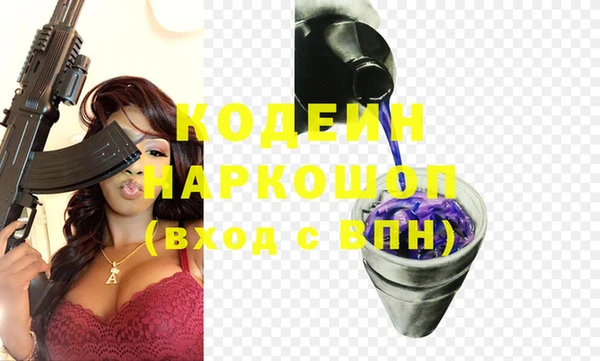 гашик Сатка