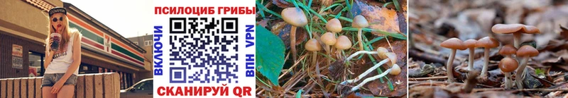 Галлюциногенные грибы ЛСД  Дятьково 